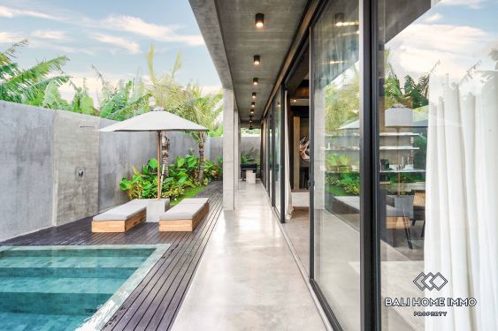 Image 2 from 1 Bedroom Villa for Rent in Canggu Residential Side