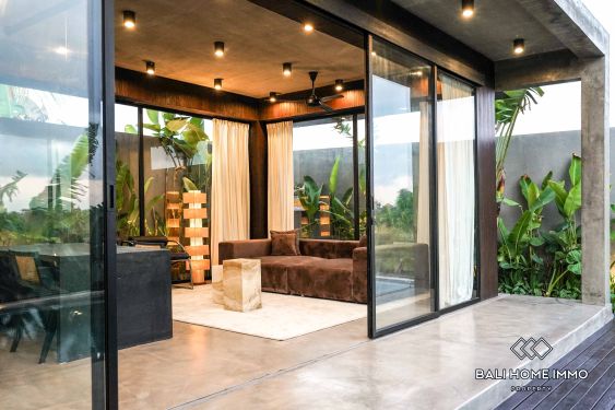 Image 3 from 1 Bedroom Villa for Rent in Canggu Residential Side