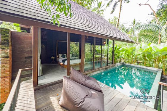 Image 2 from 1 Bedroom Villa for Sale Freehold in Bali Ubud