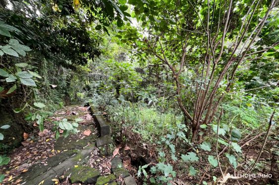 Image 2 from 11 are tanah pinggir sungai dijual hak guna usaha di cepaka