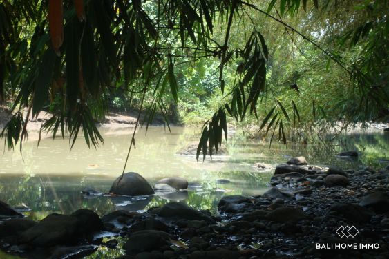 Image 2 from 114.5 are riverfront land for sale freehold in Kelecung Tabanan
