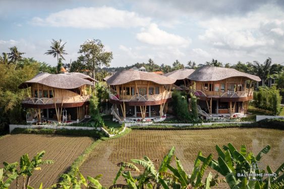 Image 1 from Villa de 12 chambres avec vue sur les rizières à vendre à Ubud