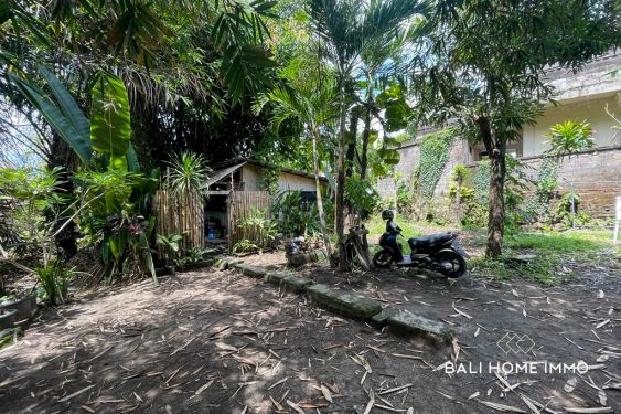 Image 3 from RICEFIELD VIEW LAND FOR SALE FREEHOLD IN BALI PERERENAN