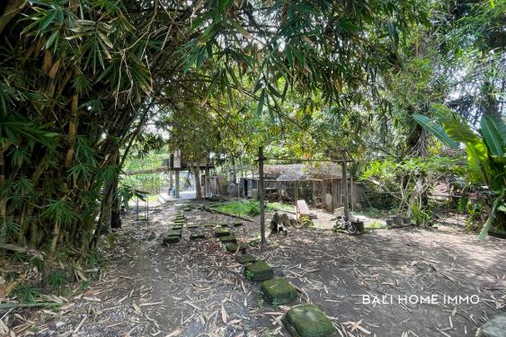 Image 2 from RICEFIELD VIEW LAND FOR SALE FREEHOLD IN BALI PERERENAN