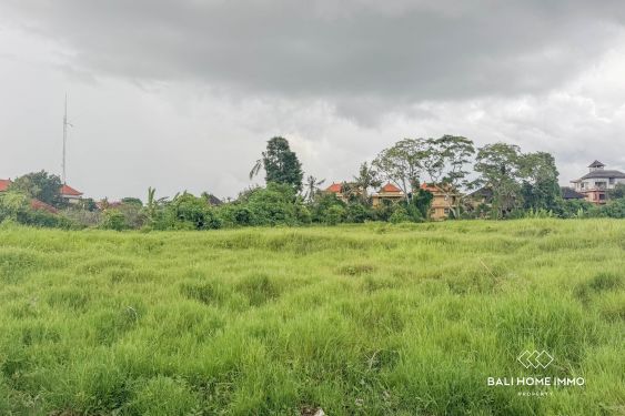 Image 2 from 1.5 hectare land for sale in the Heart of Ubud Bali