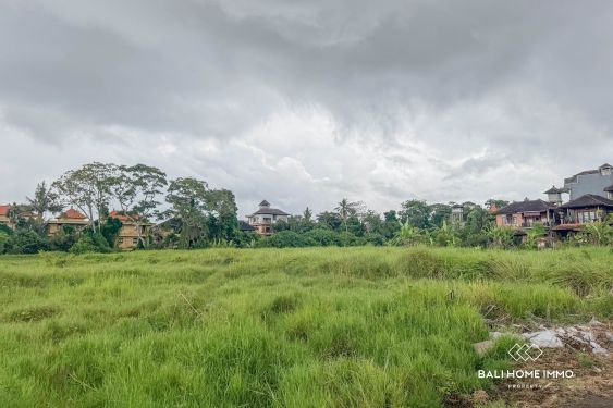 Image 3 from 1.5 hectare land for sale in the Heart of Ubud Bali