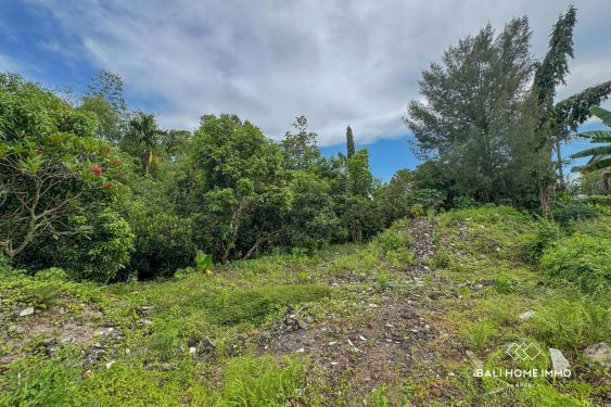 Image 3 from 18.75 are land for sale with ricefield view in North Canggu