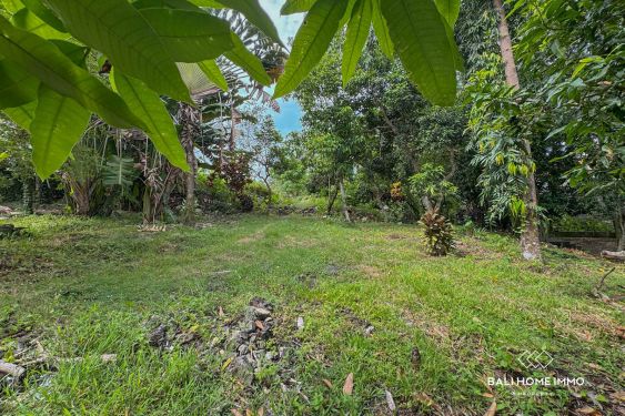 Image 2 from 18.75 are land for sale with ricefield view in North Canggu