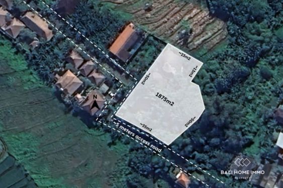 Image 1 from 18.75 are land for sale with ricefield view in North Canggu