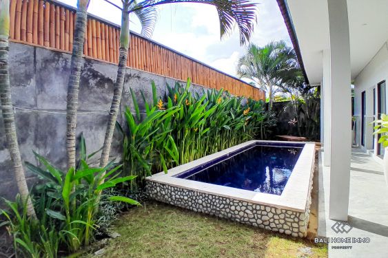 Image 2 from Villa de 2 chambres à louer à Padonan Canggu Bali