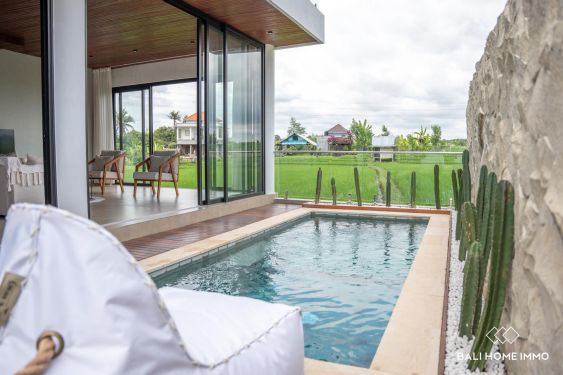 Image 1 from 2 bedroom villa with ricefield view for sale leasehold in cepaka