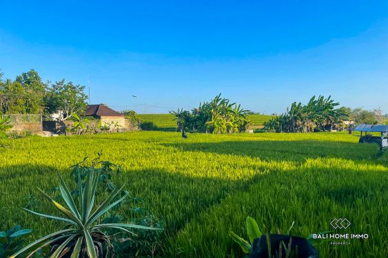 Image 2 from 2 Bedroom Villa with Ricefield View For Sale Leasehold in Padonan Bali