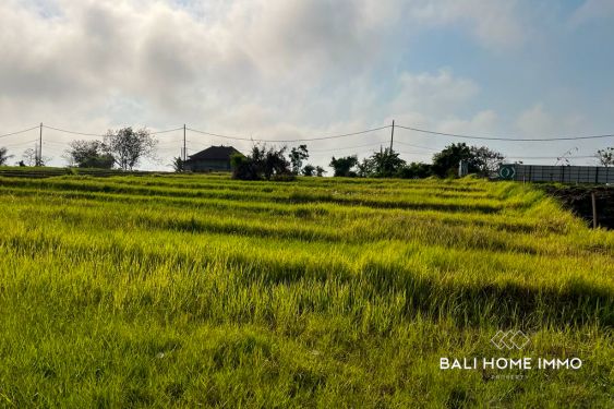 Image 3 from RICEFIELD VIEW LAND FOR SALE LEASEHOLD IN NYANYI CLOSE TO THE BEACH