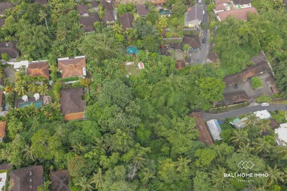 Image 3 from Terrain de 20 ares à vendre à Sayan Ubud