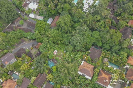 Image 2 from Terrain de 20 ares à vendre à Sayan Ubud
