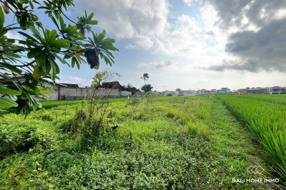 Image 2 from 24 are tanah pinggir jalan dijual hak guna usaha dekat pantai cemagi