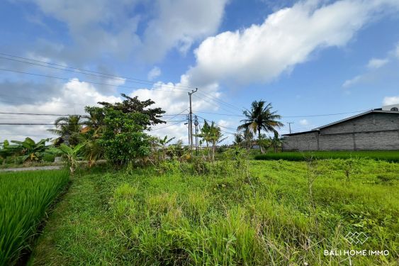 Image 3 from 24 are tanah pinggir jalan dijual hak guna usaha dekat pantai cemagi