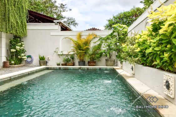 Image 1 from 3 Bedroom Family Villa for Rent in Canggu Batu Bolong