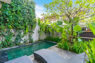 Image 3 from 3 Bedroom Villa For Yearly Rental in Pererenan