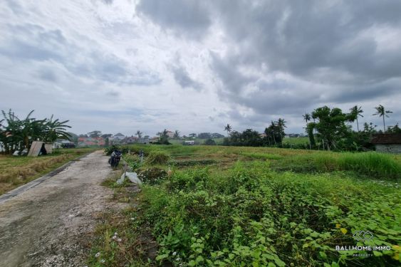 Image 3 from 30 Are Land for Sale Leasehold in Bali Pererenan Beachside