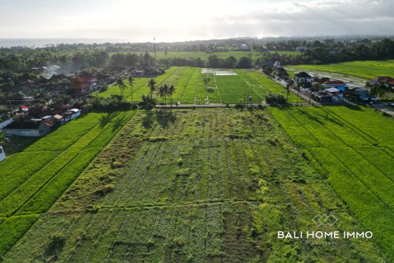 Image 3 from 30 are Street Front Land for Sale Leasehold in Kedungu Bali