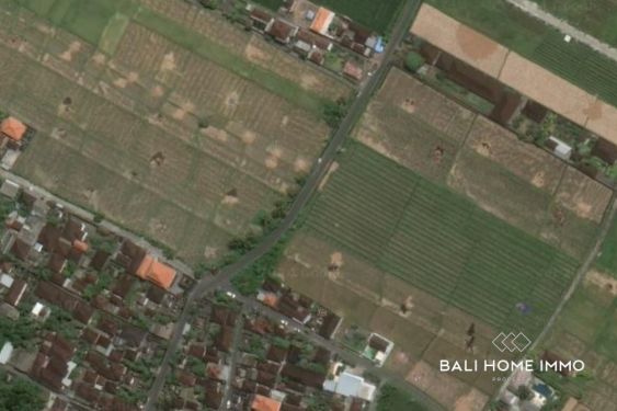 Image 2 from 30 are Street Front Land for Sale Leasehold in Kedungu Bali