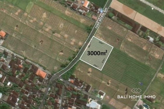 Image 1 from 30 are Street Front Land for Sale Leasehold in Kedungu Bali