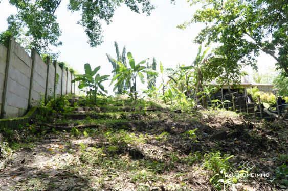 Image 2 from 33 Are River Side Land for Sale in Cepaka