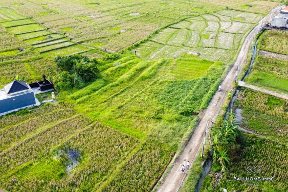 Image 3 from 4.2 are Ricefield View Land For Sale Near Seseh Beach