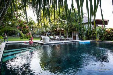 Image 3 from Villa de 5 chambres à vendre Batu Bolong - Canggu