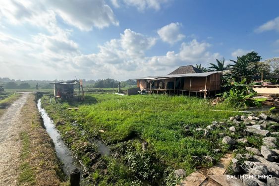 Image 3 from Tanah seluas 5,82 are dijual hak guna usaha dengan pemandangan sawah di Yeh Gangga Tabanan