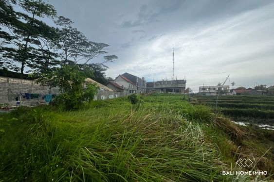 Image 3 from Dijual Tanah 5 Are di Zona Pariwisata Jarak Berjalan Kaki ke Pantai Cemagi Bali