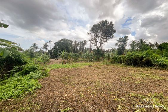 Image 2 from 55 are streetfront land for sale freehold in Kaba Kaba