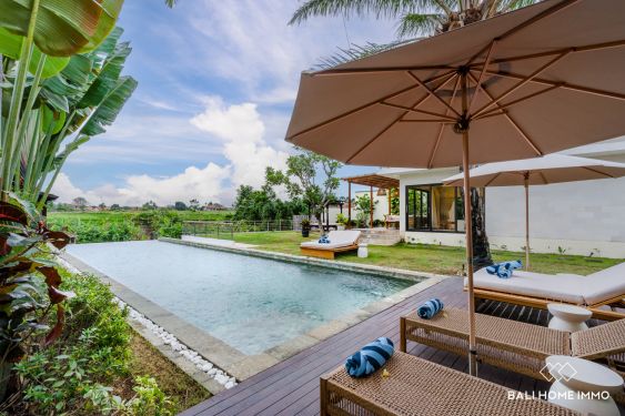 Image 1 from Villa familiale de 6 chambres avec vue à vendre à Canggu Nord