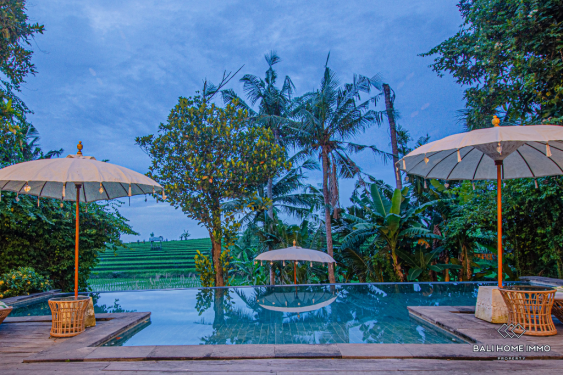 Image 2 from Villa moderne de 6 chambres à louer à Bali Canggu