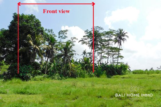 Image 2 from 7.75 are land for sale freehold in Cepaka Bali
