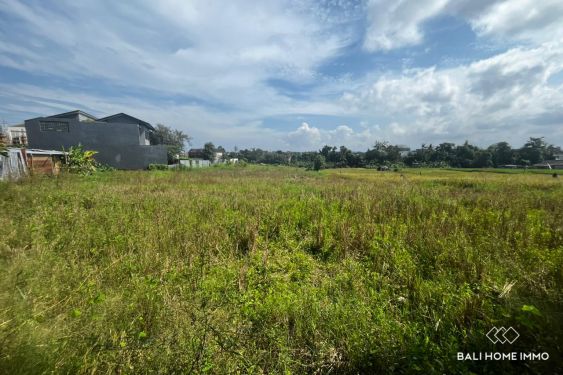 Image 2 from 8 Are residential land with ricefield view for sale in Tumbak Bayuh
