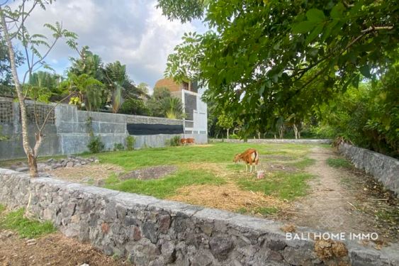 Image 2 from 8 ARE LAND FOR SALE LEASEHOLD IN SANUR BALI
