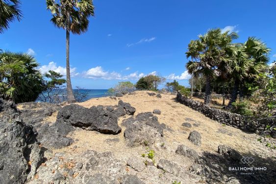 Image 3 from Beachfront land for sale Freehold in Rote Island