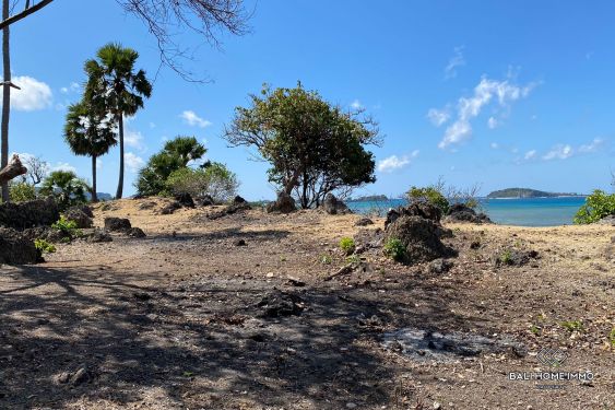 Image 2 from Beachfront land for sale Freehold in Rote Island