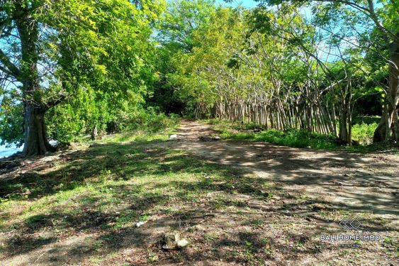 Image 3 from Beachfront Land for Sale in Sumbawa