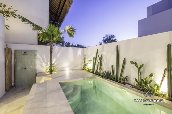 Image 2 from Beautiful 1 Bedroom Mediterranean Villa for Sale in Bingin