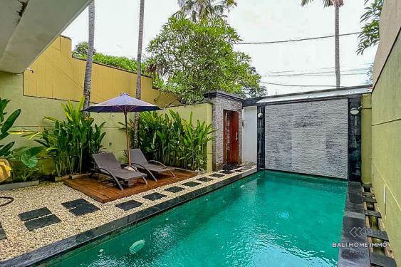 Image 3 from Vila 2 Kamar Tidur yang Indah Disewakan Bulanan di Bali Seminyak