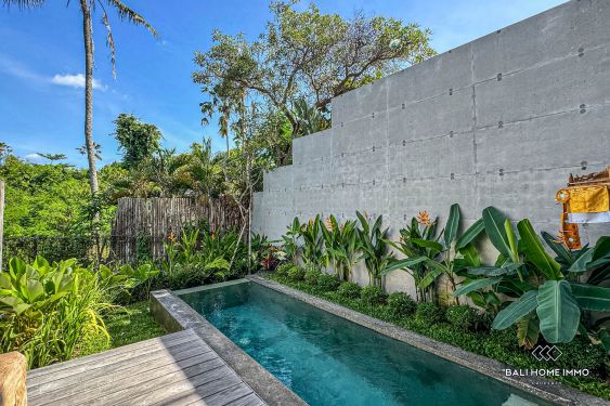 Image 2 from VILLA CANTIK 2 KAMAR DISEWAKAN DI BERAWA CANGGU