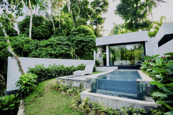 Image 1 from Brand new 1 Bedroom Modern Riverside Villa For Sale in Ubud Bali