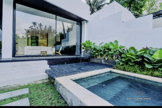 Image 2 from Brand new 1 Bedroom Modern Riverside Villa For Sale in Ubud Bali