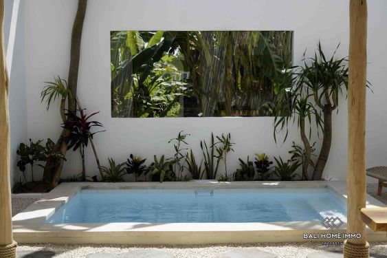 Image 2 from Villa neuve au design tropical d'une chambre à vendre à Pandak gede Nyanyi