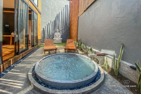 Image 1 from Brand New 1 Bedroom Villa for Rent in Bali Canggu