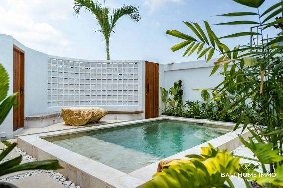 Image 2 from Villa 1 Kamar baru dijual prasarana di Bali Padonan