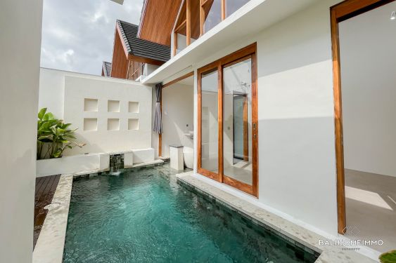 Image 3 from Brand New 1-Bedroom Villa in Kerobokan for Sale